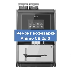 Чистка кофемашины Animo CB 2x10 от накипи в Волгограде